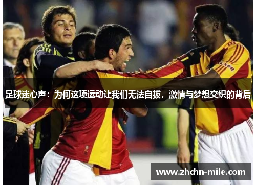 足球迷心声：为何这项运动让我们无法自拔，激情与梦想交织的背后
