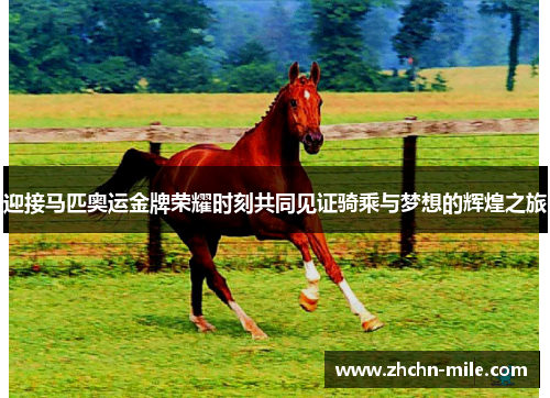 迎接马匹奥运金牌荣耀时刻共同见证骑乘与梦想的辉煌之旅