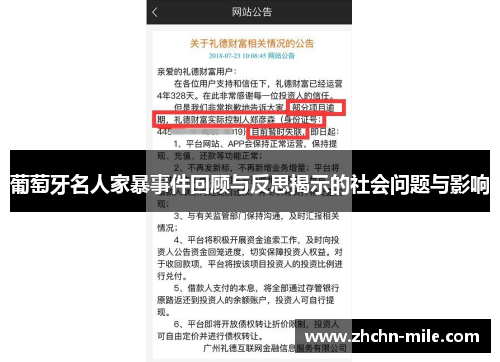 葡萄牙名人家暴事件回顾与反思揭示的社会问题与影响